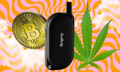 AI Weed Vape Promises Bitcoin Rewards But Reality Is Murky