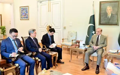Chinese Ambassador Jiang Zaidong Calls PM Shehbaz Sharif