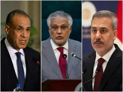 Dar discusses regional situation, US-Iran progress with Turkish, Egyptian FMs