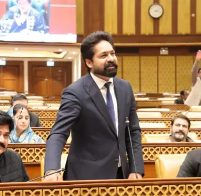 ECP Asked to Provide Assets Details of Punjab MP Saqib Chadhar