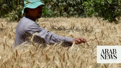 Egypt Seeks to Boost Wheat Imports and Storage Cooperation with Poland