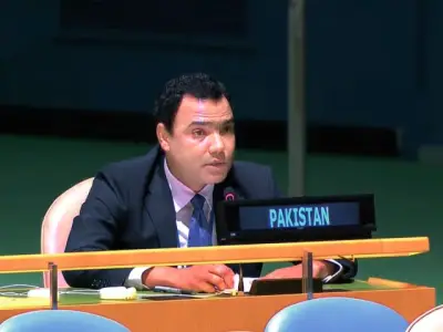 Pakistan Reaffirms Kashmir Dispute on UNSC Agenda, Rejects Indian Remarks
