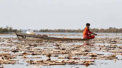Pakistan's Water Crisis: Governance, Trust and the Shrinking Margin for Error