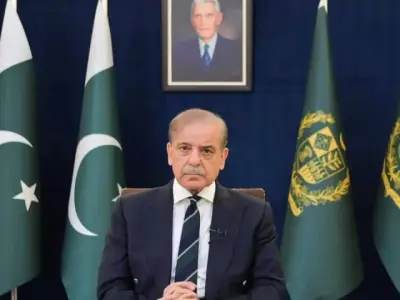 PM Shehbaz Forms Committee to Review Telecom Bill