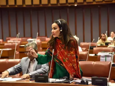 PPP Blocks IT, PTA, RWA Legislation in Senate Unless Scrutinized