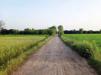 Punjab govt seeks vacant state property details from 12 institutions to boost revenue