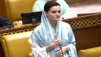 Punjab Plans Wastewater Treatment Plants in Every City: Marriyum Aurangzeb