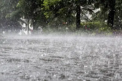 Rain and Strong Winds Turn Lahore Weather Pleasant, Power Disrupted