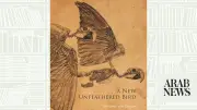 A New Unfeathered Bird: A Stunning Updated Classic on Avian Anatomy