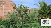 AlUla Agricultural Celebrations Boost Local Market Access for Farmers