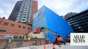 Artist files $25M lawsuit against FIFA over Dallas whale mural destruction