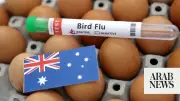 Australia Investigates Possible Spread of H5 Bird Flu in Wildlife After Two Cases