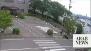 Bear Injures 4 in Japan Residential Area as Attacks Rise