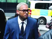 Chris Brown Ordered to Pay Nearly $13 Million in Dog Attack Lawsuit