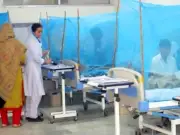 Dengue Larvae Found at 42,200 Sites in Rawalpindi Raises Outbreak Fears