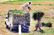 ECC approves Rs7.03bn for SAP, Rs10.15bn for Hangor Project