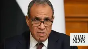 Egypt FM and US Advisor Discuss Sudan, Libya, and Water Security