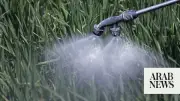 Egypt Overhauls Nitrogen Fertilizer Export Levy, Exempts High-Grade Ammonium Nitrate