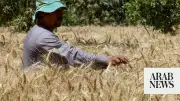 Egypt Seeks to Boost Wheat Imports, Storage Ties with Poland