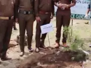 Faisalabad Police Reinstates 27 Absent Officers with Tree-Planting Condition