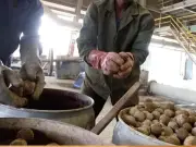 FIA Recovers Rs23.7 Million from Food Controller in Flour Embezzlement Case
