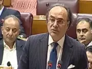 Finance Minister Aurangzeb Presents FY2024-25 Appropriation Accounts in NA