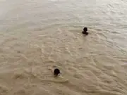 Four Children Drown in Changa Manga Forest Pond