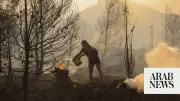 Greece Battles Major Wildfire on Evia Island, Evacuations Ordered