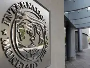 IMF Austerity Programs Harm Economies, Says Economist