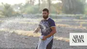 Iraq Rice Production Rebounds as Drought Ends, Future Uncertain