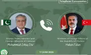 Ishaq Dar, Turkish FM discuss regional stability, urge dialogue