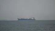 Japan-Linked Vessel Passes Through Strait of Hormuz After Months-Long Delay