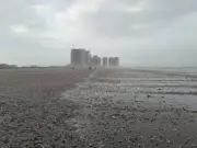 Karachi Beach Shell Event: Monsoon Upwelling Explained, Fishermen Confirm