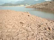 Larkana Division Farmland Withers as Three Major Canals Decay