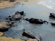 Massive Oil Spill Hits Gwadar Coastline, Threatens Marine Life