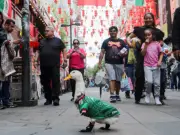 Merlin the Duck Dubbed FIFA Ambassador After World Cup Viral Fame