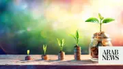 Middle East Sovereign Wealth Funds Poised for Transformative Growth: Bain & Co.