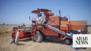 Morocco to Suspend Wheat Customs Duty from August 1 to Boost Imports