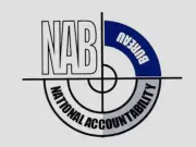 NAB announces real estate reforms to curb illegal practices, protect investors