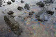 Oil Spill Hits Gwadar Coast, Threatens Marine Life and Fishing