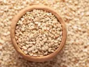 Pakistan Approves National Seed Policy 2025 to Boost Agriculture Output