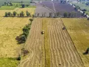 Pakistan-China Joint Desert Agriculture Lab Launched in Multan