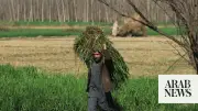 Pakistan farmers seek budget relief amid rising fertilizer, fuel costs