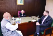Pakistan, Germany Discuss Boosting Bilateral Investment and SME Cooperation