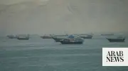Pakistan Plans Oil Reserves and Storage Boost to Tackle Hormuz Vulnerabilities