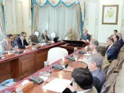 Pakistan to Privatise Three Power Distribution Companies in First Phase