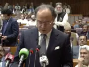 Pakistan's Macroeconomic Indicators Stable, Finance Minister Tells NA