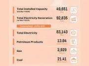 Pakistan's Power Capacity Reaches 49,651 MW with 8.5% Growth via Solar Net Metering
