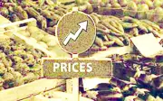 Pakistan's Weekly Inflation Edges Up 0.16% in June 2026