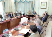 PM Shehbaz directs fast-track privatization of power DISCOs